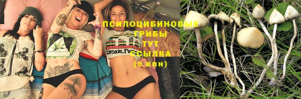 кокаин Богородицк
