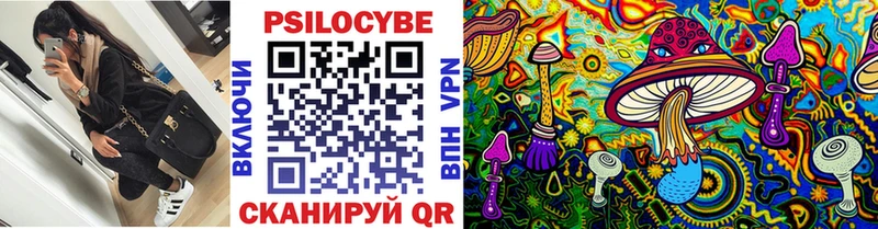 как найти закладки  Наро-Фоминск  Псилоцибиновые грибы Cubensis 